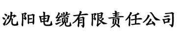 大香蕉mv在线电缆厂logo